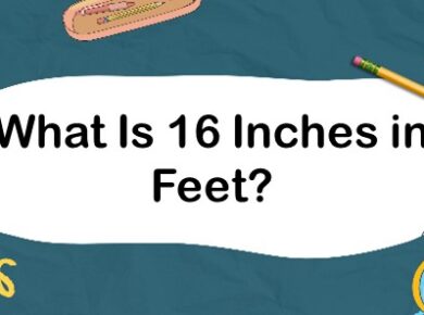 What Is 16 Inches in Feet