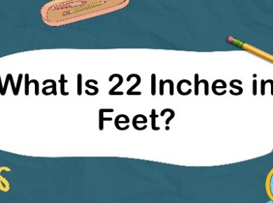 What Is 22 Inches in Feet