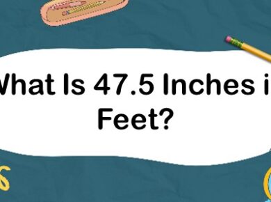 What Is 47.5 Inches in Feet