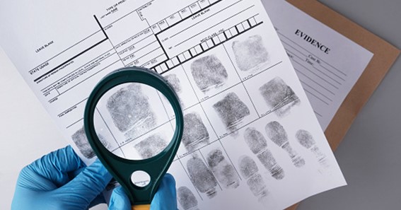 8 Careers You Can Aim For With A Criminology Degree