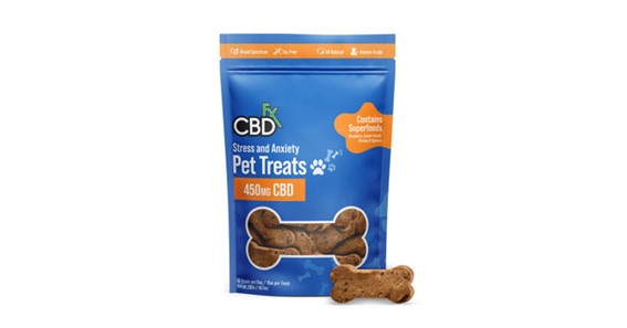CBD Dog Treats Vs. CBD Oil: Which Is A Better Option For Dogs?