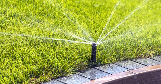 Everything You Need to Know About Sprinkler System Repairs 