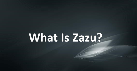 What Is Zazu